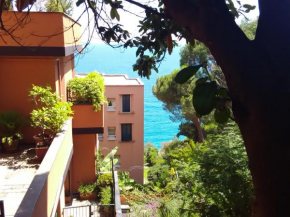 Casa delle mimose